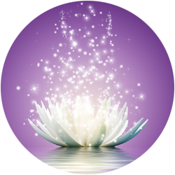 Professional Women in Balance